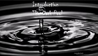 Introduction to the Dark Pool