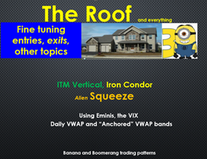 The Roof -Master Options Workshop